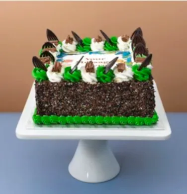 Dinosaurs Square Cake 