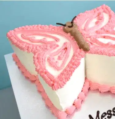 Pretty in Pink Butterfly Cake