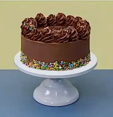 Chocolate Rainbow Sprinkles Cake