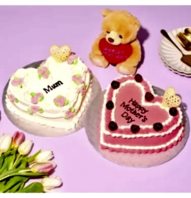 Mother`s Day Teddy Bear and Bag